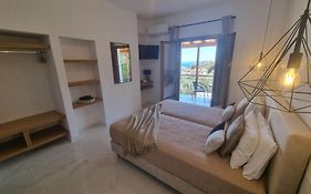 Olive Grove View
